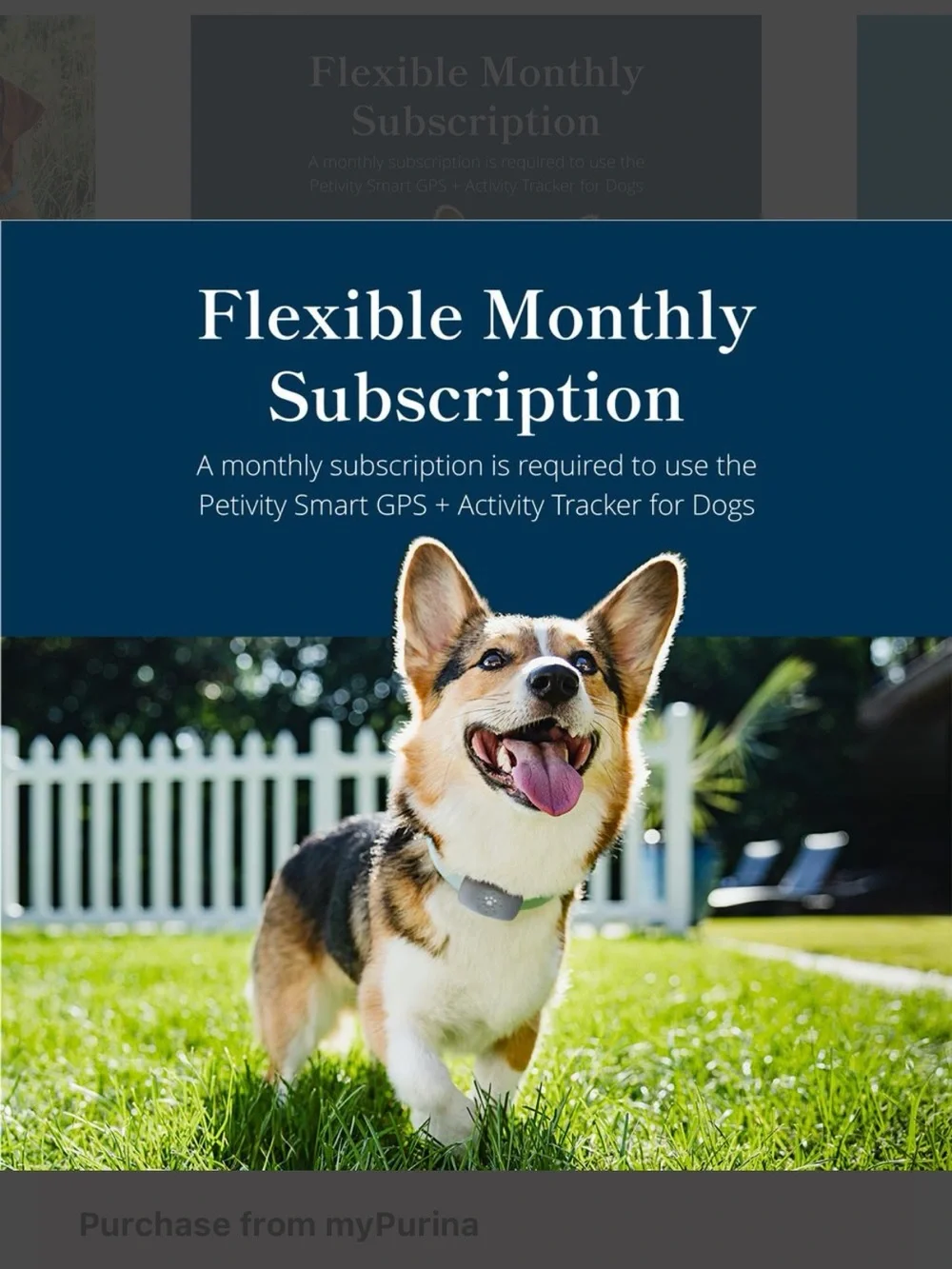 Smart GPS Activity Tracker Monitor Collar for Dogs *Keep Pet From Getting LOST!!